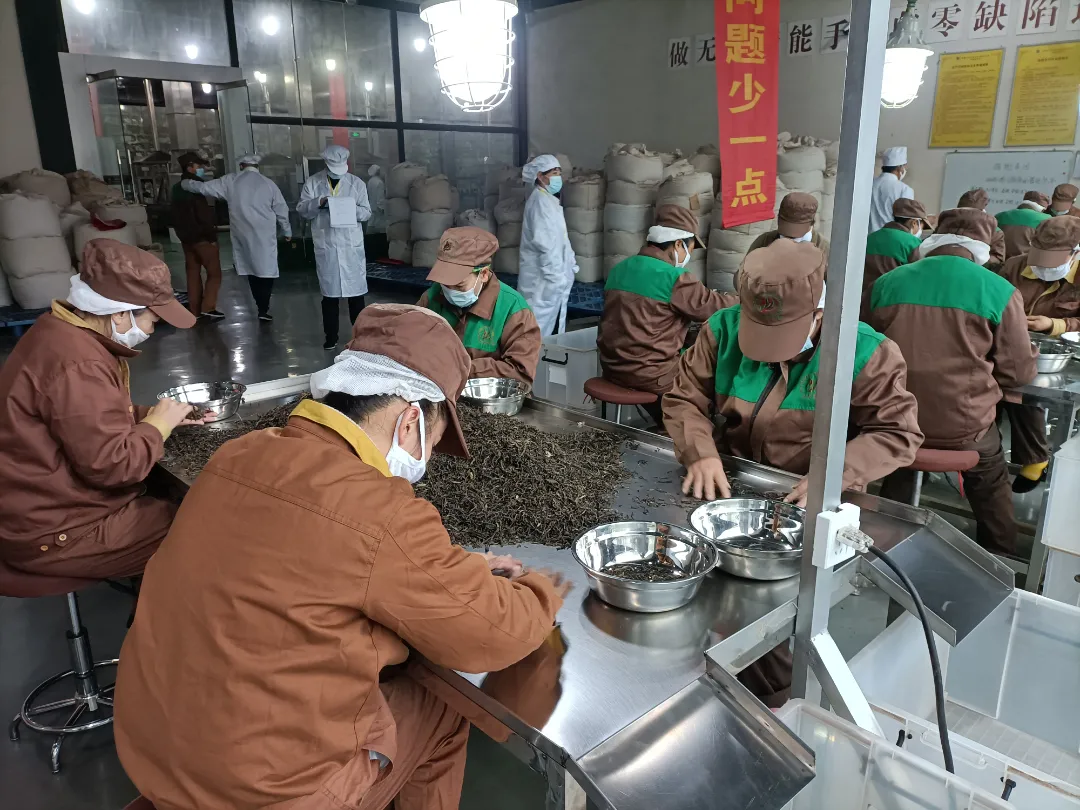 精益求精&middot;鑄造品質｜六大茶山第十四屆技術大比武圓滿完成